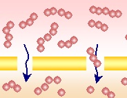 コラーゲンペプチド